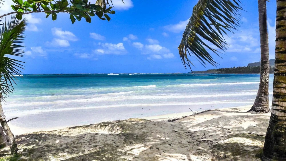 El Pelicano Apart-Hotel - Général