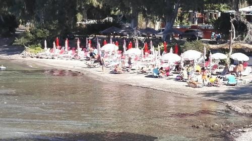Beach & Waterfront
