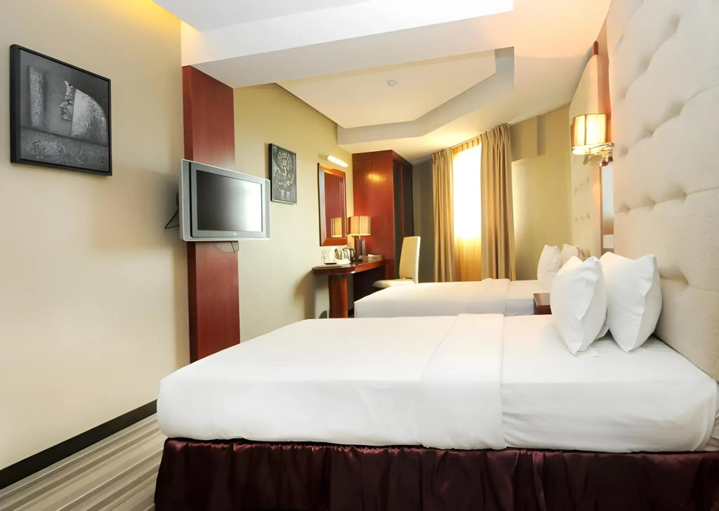 Celyn City Hotel - Général