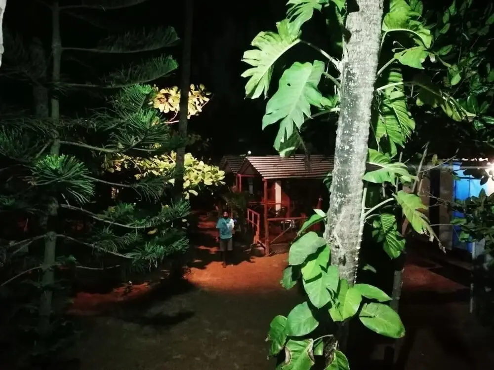 Royal Touch Beach Huts & Restaurant - Général