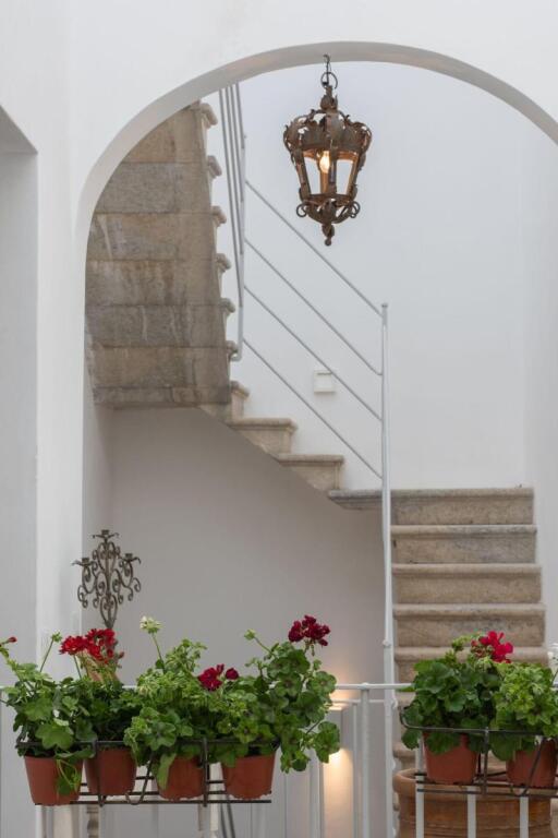 Image 15
