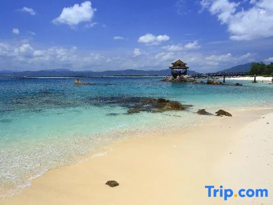 Beach & Waterfront