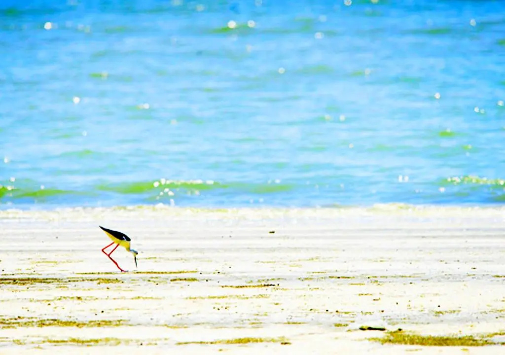Beach & Waterfront