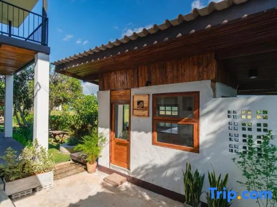 Mango House Studio -Pai