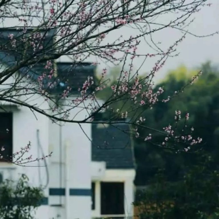 Shisui Home Guest House