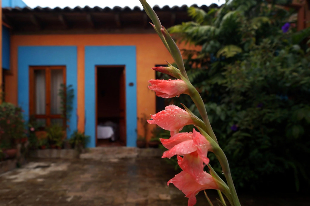 HOTEL POSADA EL PARAÍSO by null