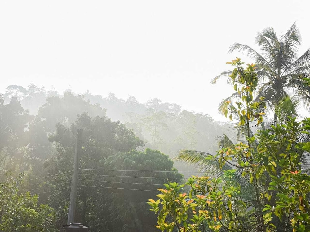 Ceylon Vista