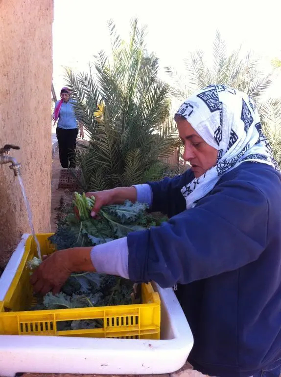 Habiba Organic Farm - фото 8