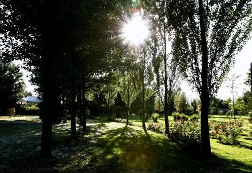 Tenuta San Domenico