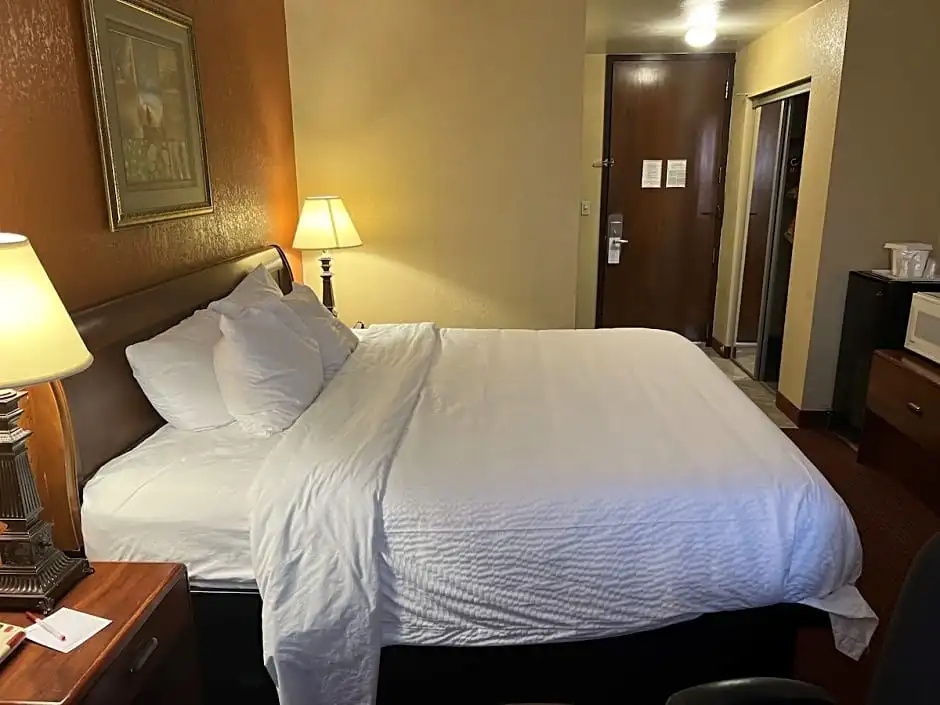 Standard room with pool view