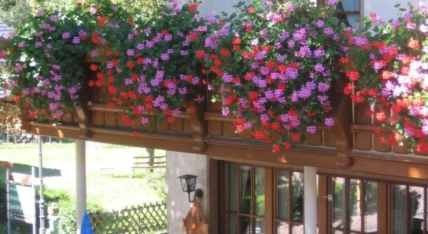 Gasthaus Zum Hirschen - Général