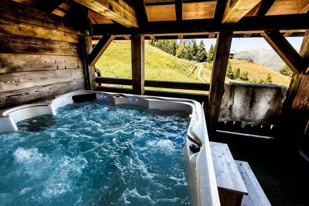Chalet-Hôtel Le Cocoon - Général