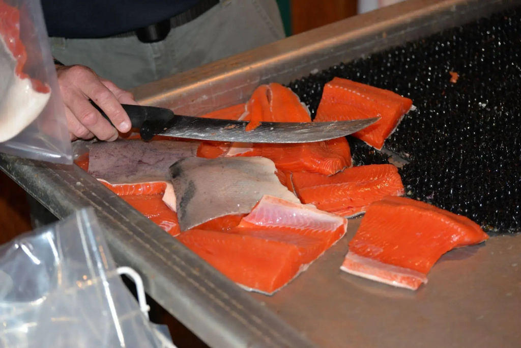 Salmon Catcher Lodge - Général