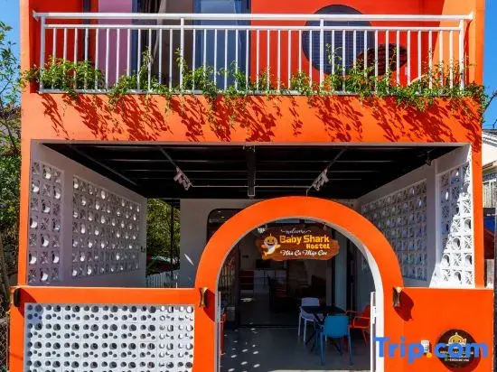 Hoi An baby shark hostel