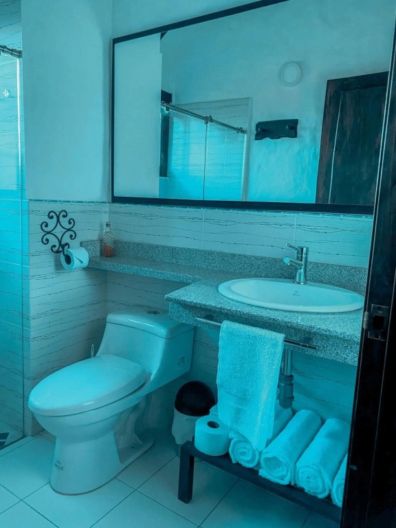 Hotel photo 8