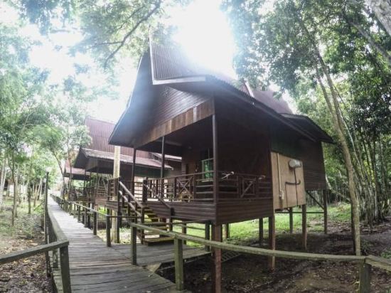 Bilit Rainforest Lodge