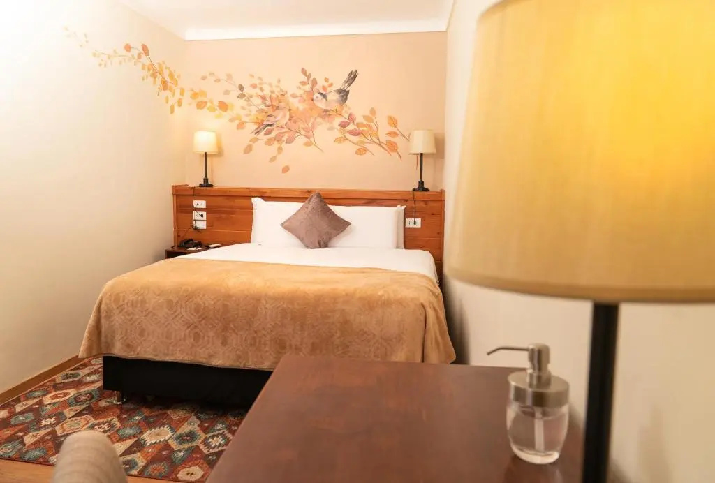 Deluxe Double room (full double bed)