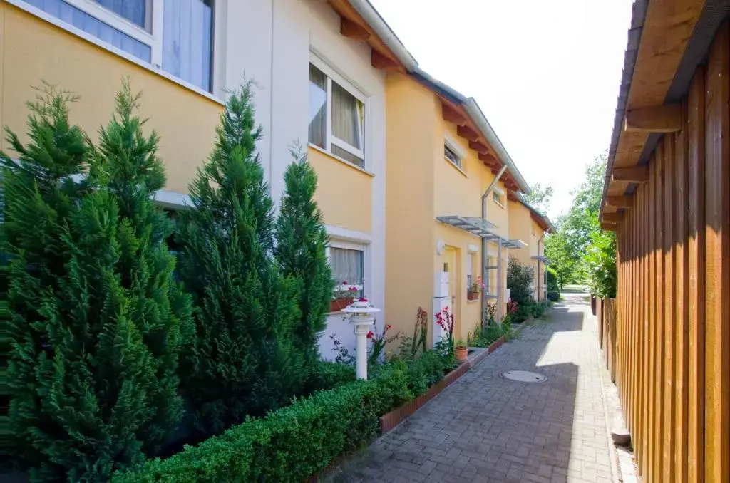 Image 15