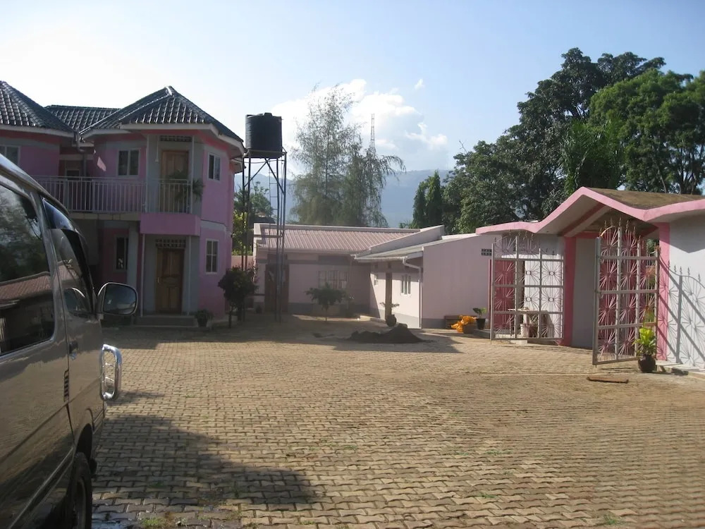 Image 11