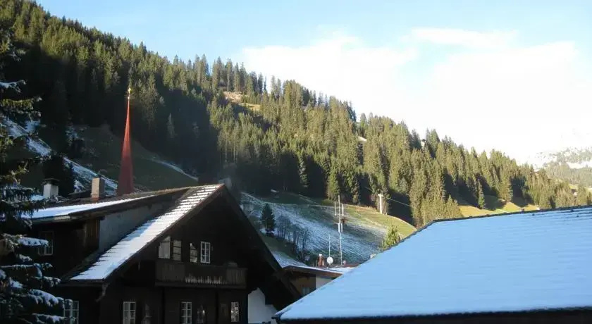 Pension Rosengarten - Général