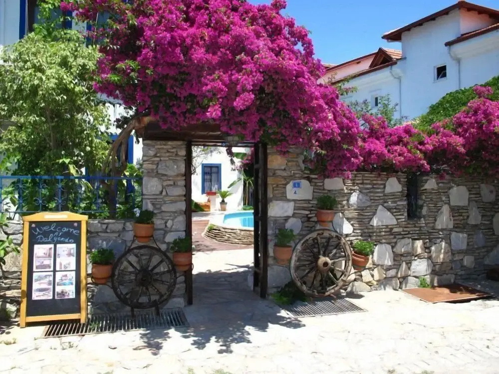 Hotel photo 14