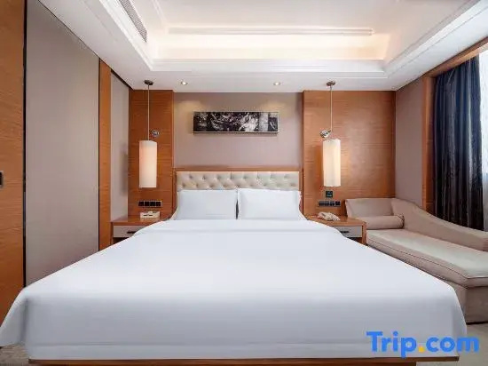 Jin-Tone 101 Hotel Nanning - Chambres
