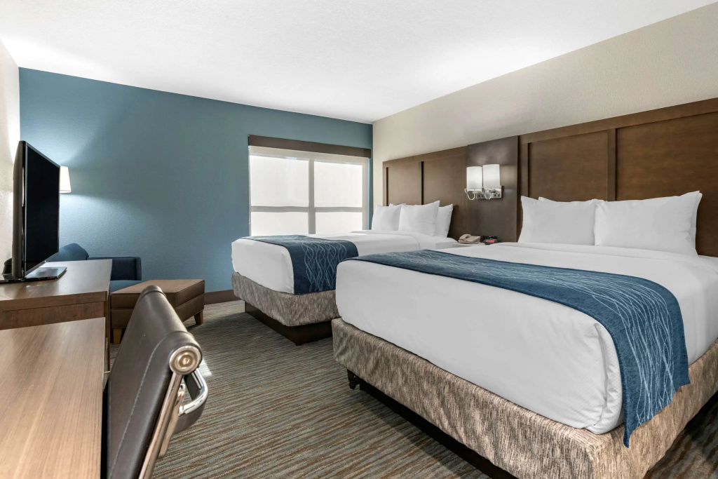 Comfort Inn & Suites Downtown Brickell-Port of Miami - Général