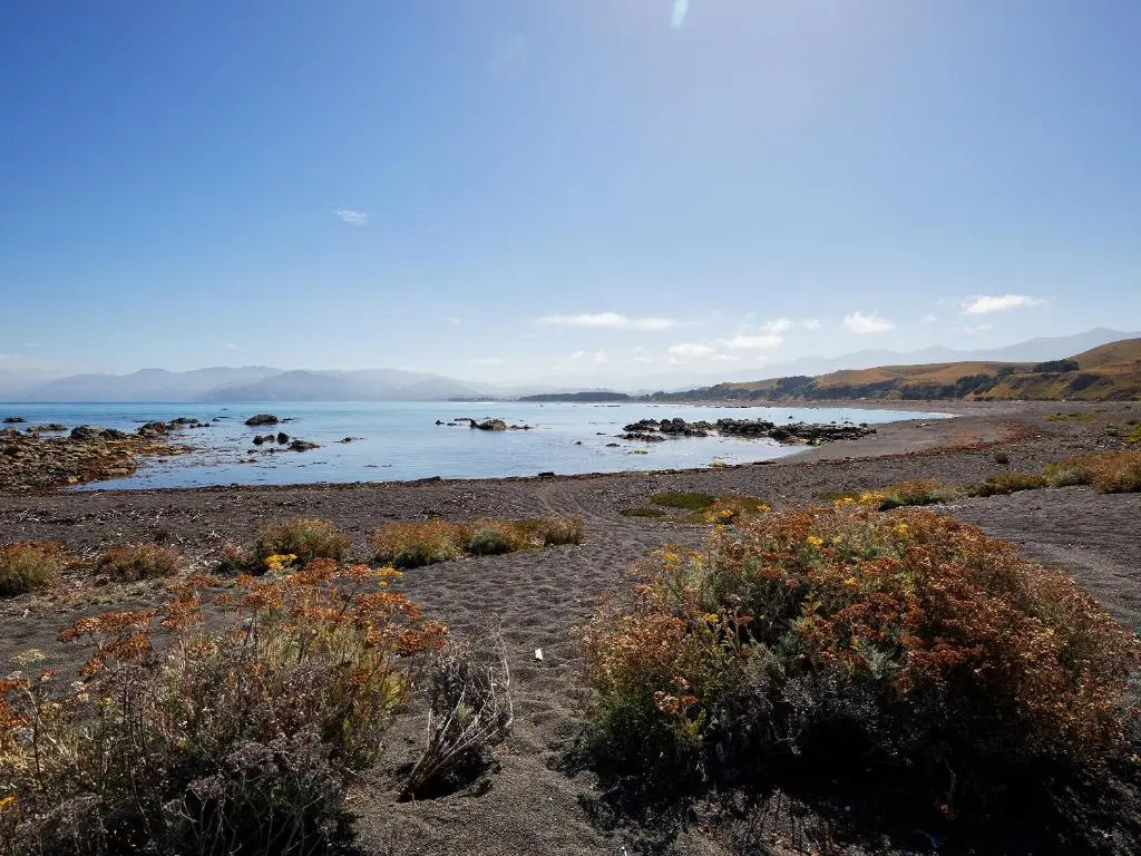 The Kaikoura Bach