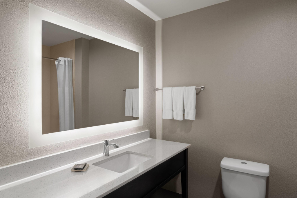 La Quinta Inn & Suites by Wyndham Baton Rouge Denham Springs - Général