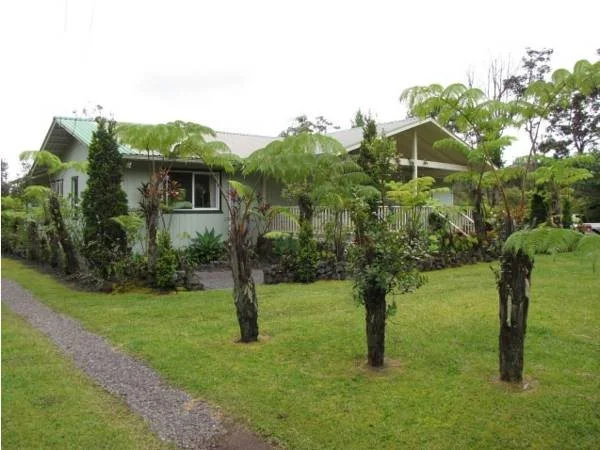 Fern Forest Retreat