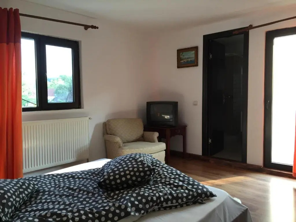 Standard Double room with lake view (full double bed)