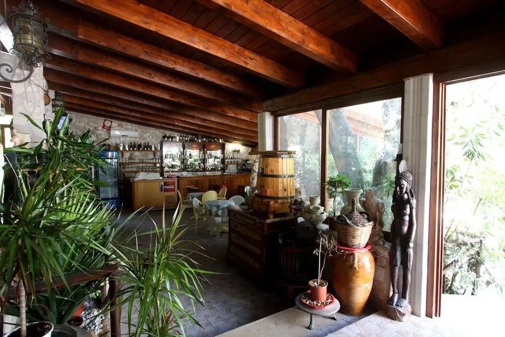 Lobby & Reception