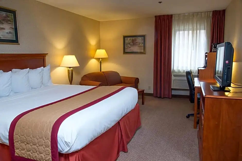 Double Studio (full double bed)
