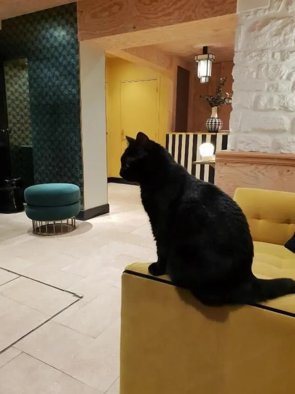 Hotel photo 15