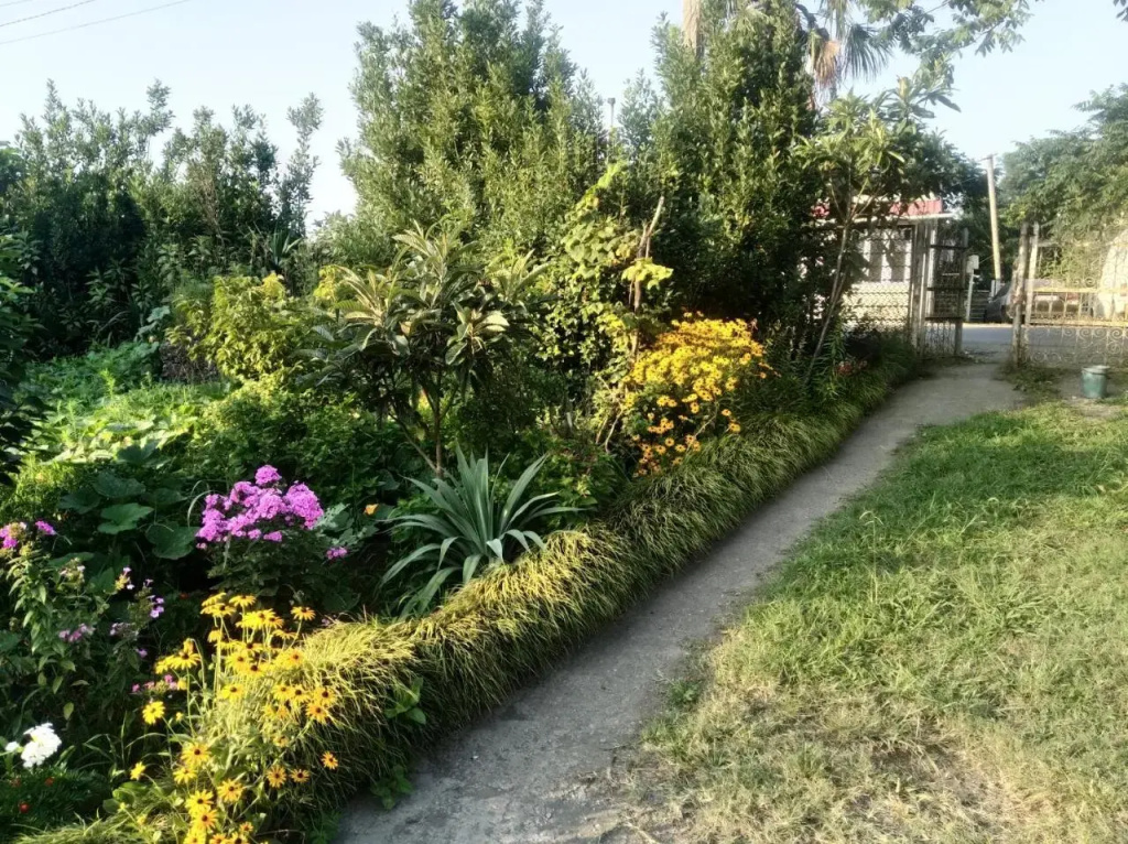 Grigoleti Guest house