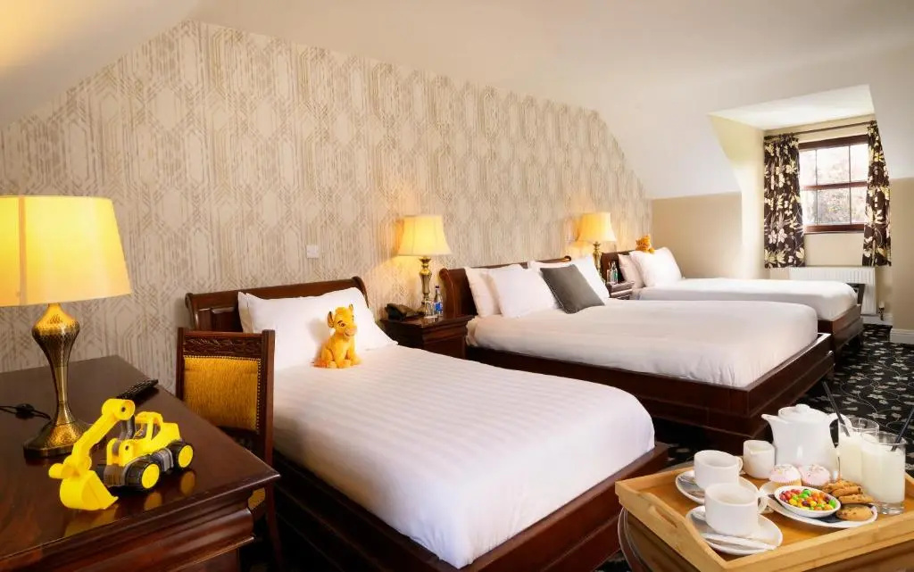 Bunratty Manor - Chambres