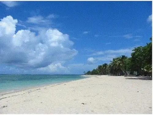 Beach & Waterfront