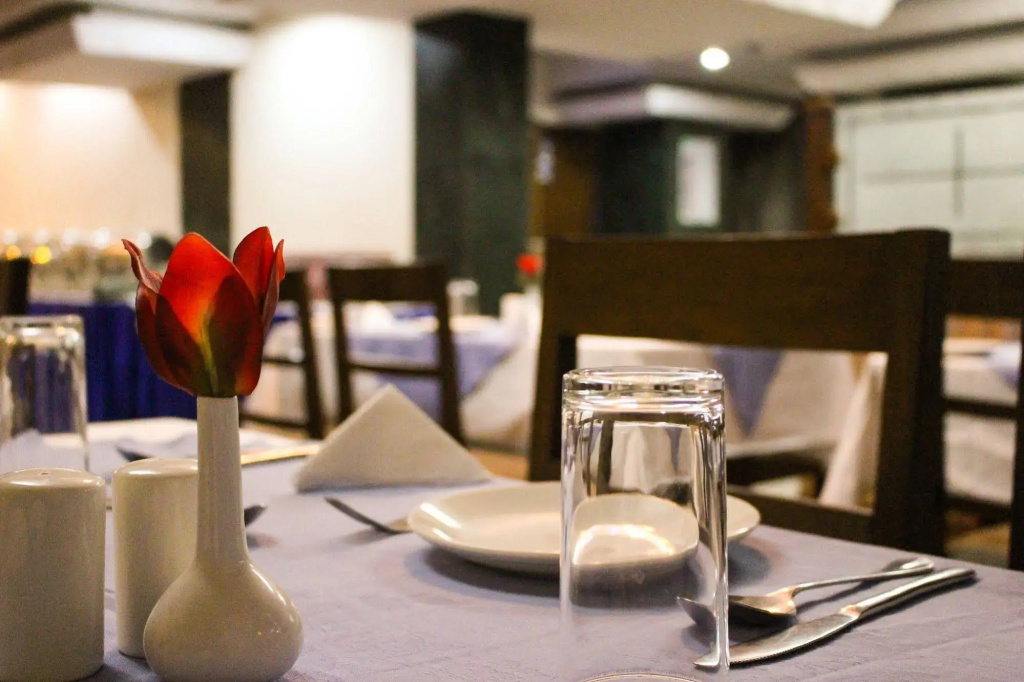 Hotel Woodland Kathmandu - Général