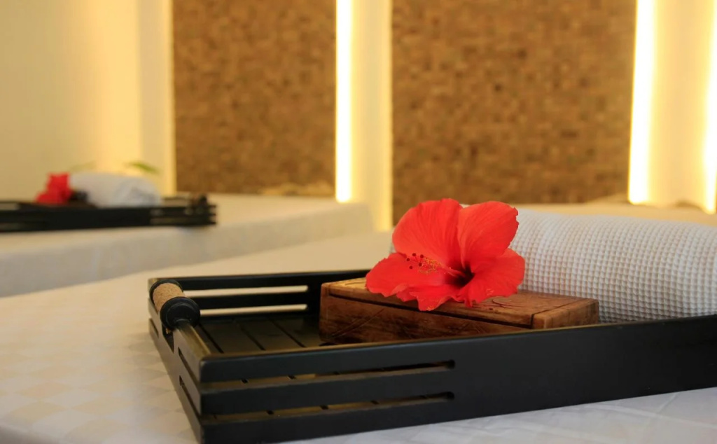 Kokonut Suites - Général