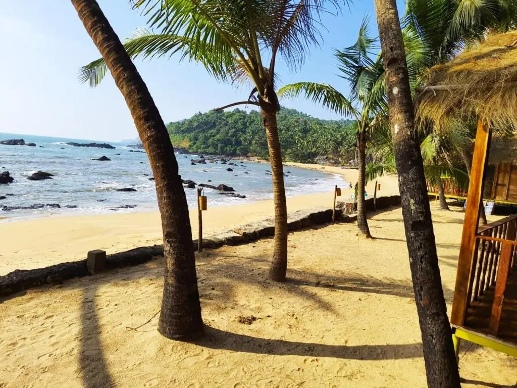 Blue Lagoon Resort Goa - Chambres