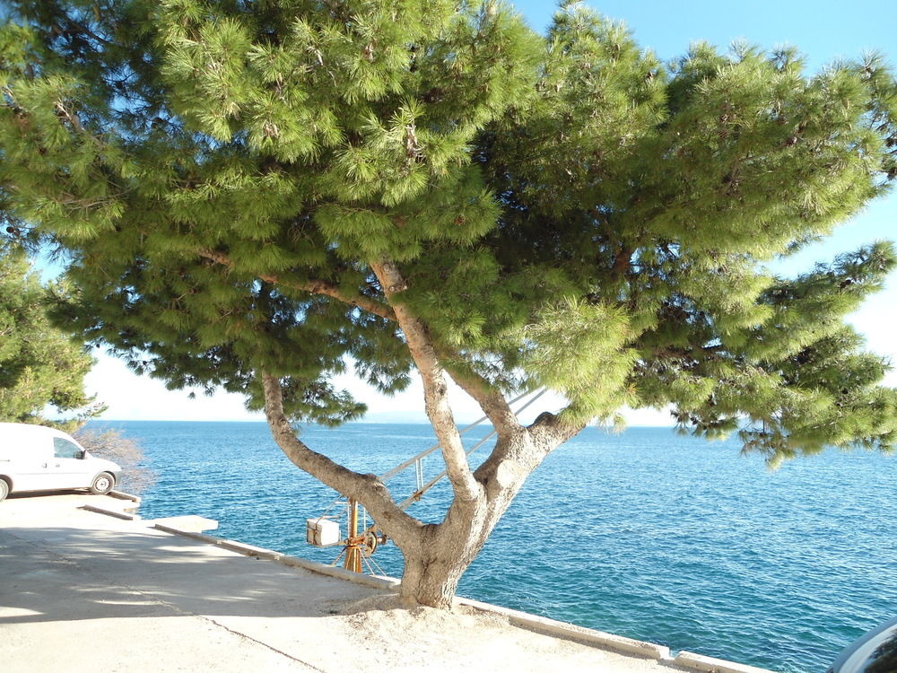 Beach & Waterfront