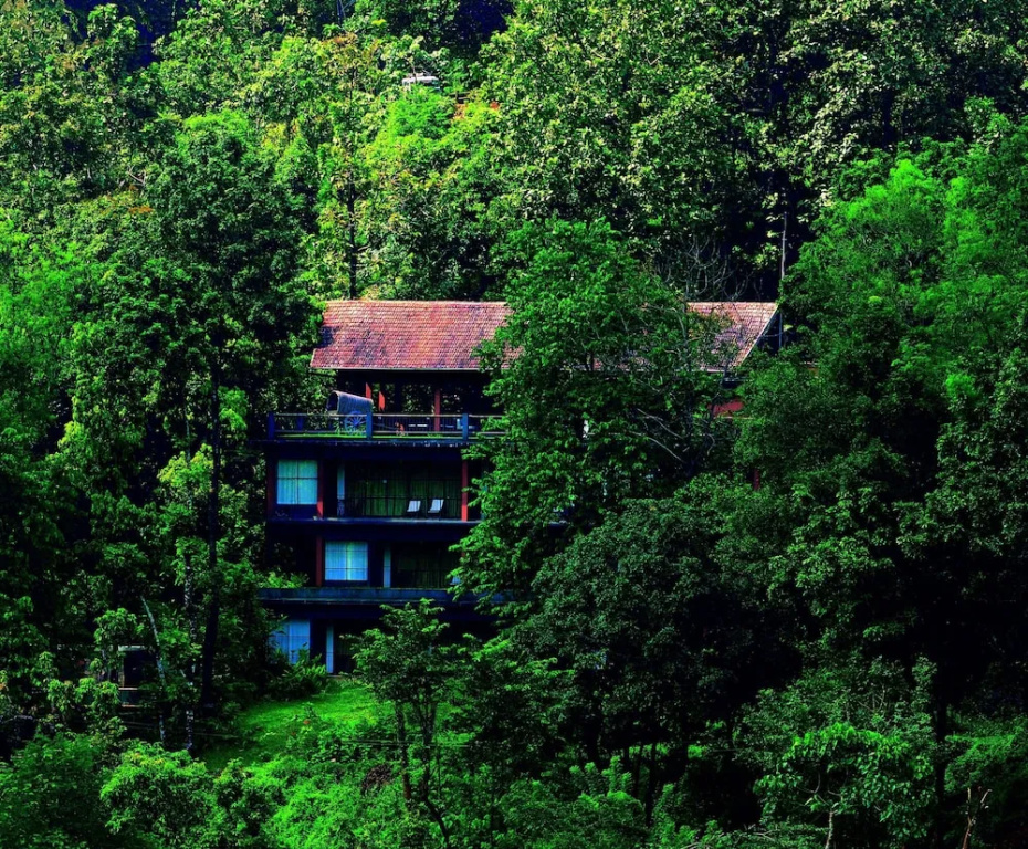 Rainforest Boutique Resort - Général