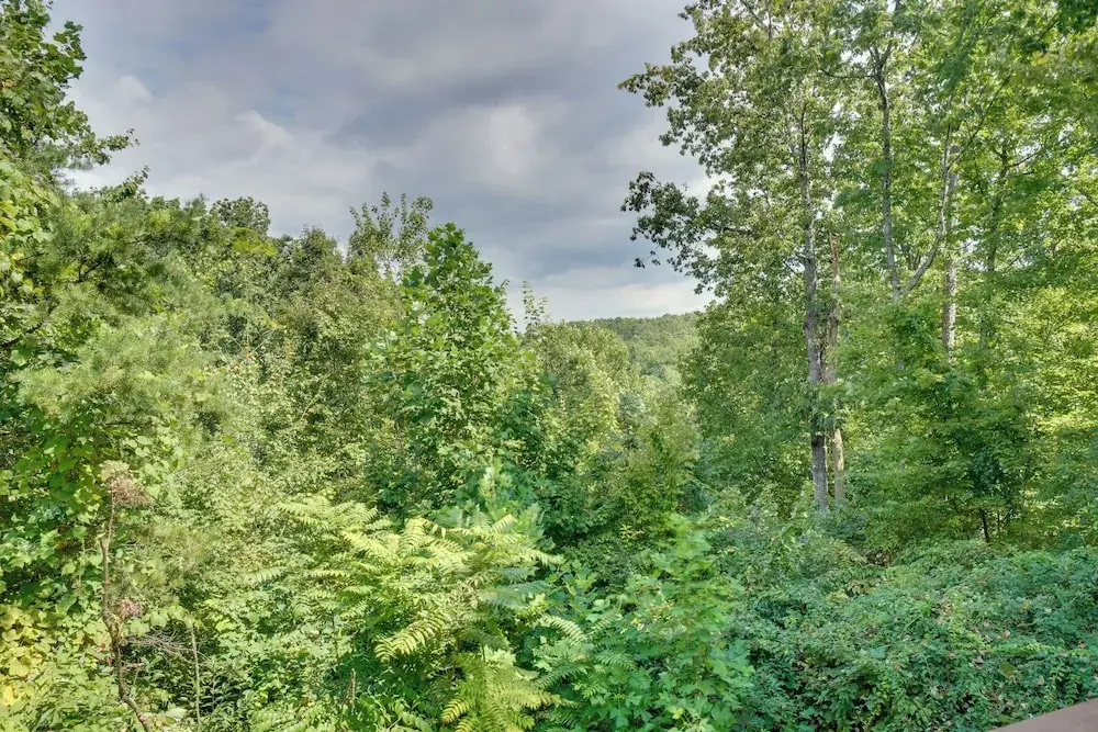 Total Privacy + Stunning Views in Smoky Mountains!
