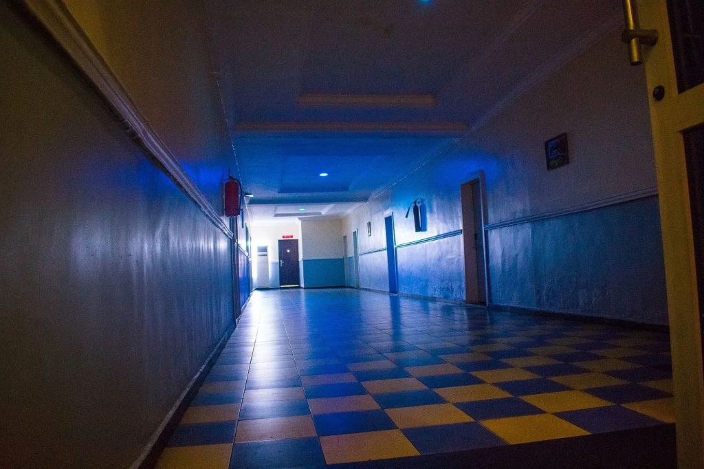 Hotel photo 11