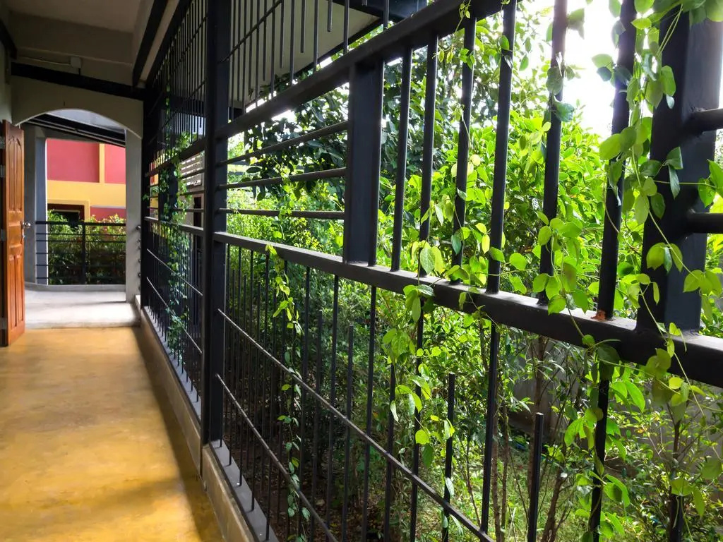 Balcony & Terrace