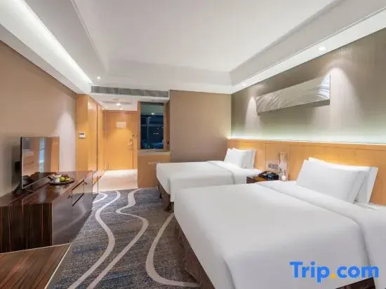 Standard Double room with city view (twin beds)