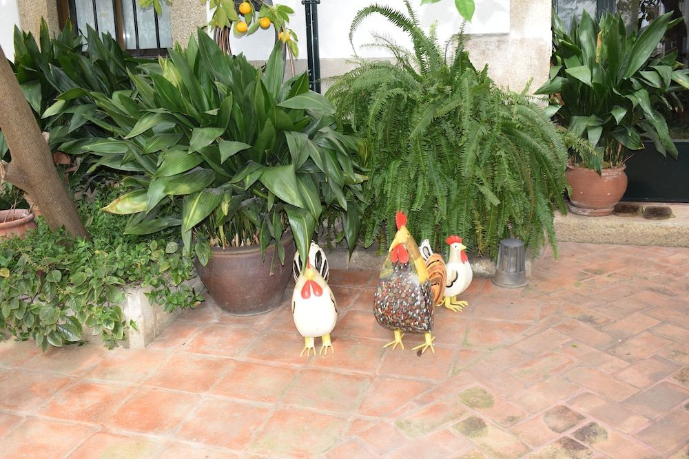 Casa Rural Antolina - Général