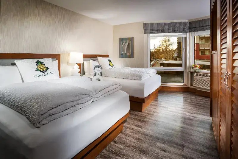 Staypineapple, Watertown Hotel, University District Seattle - Chambres