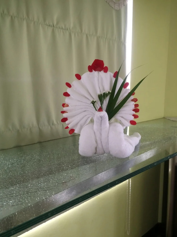 ParkView Hotel - Chambres