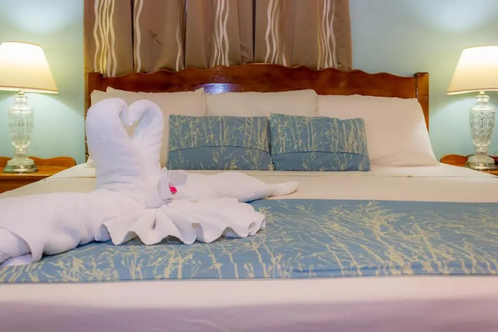 Rolson Hotel - Chambres